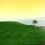 Daily Reading | Persistence makes life full of sunshine
