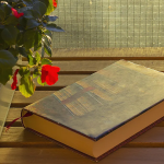 A person’s confidence is hidden in the books he has read