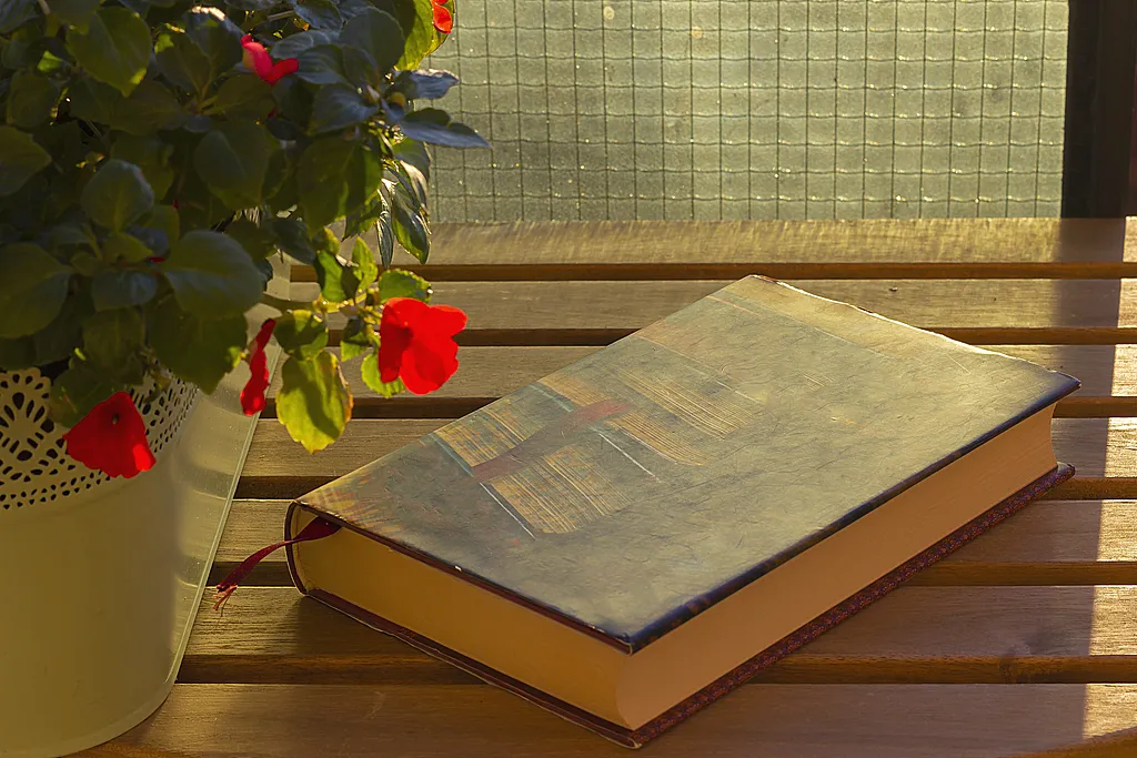 A person’s confidence is hidden in the books he has read